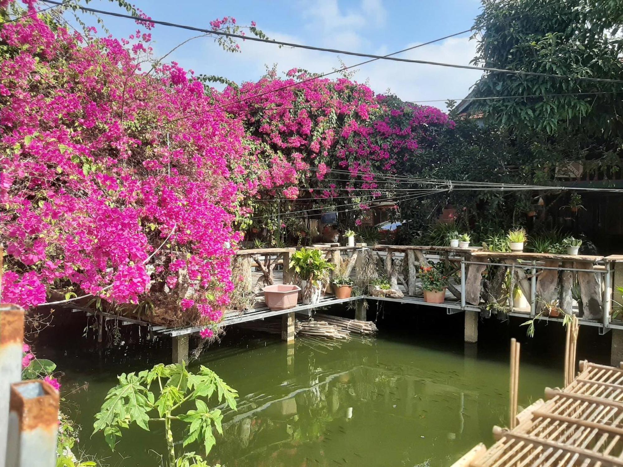 Minh Ngoc Homestay Dien Bien Phu Ban Hin Lom Eksteriør billede