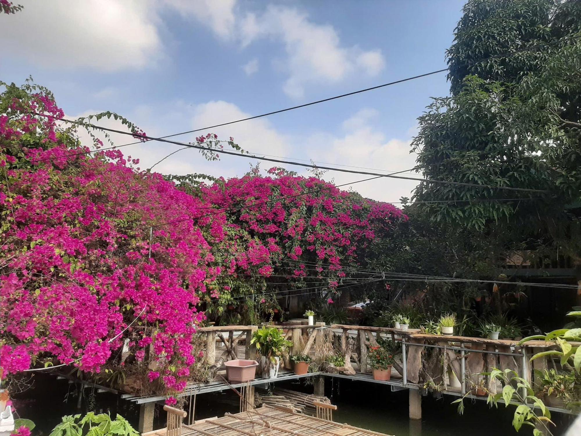 Minh Ngoc Homestay Dien Bien Phu Ban Hin Lom Eksteriør billede