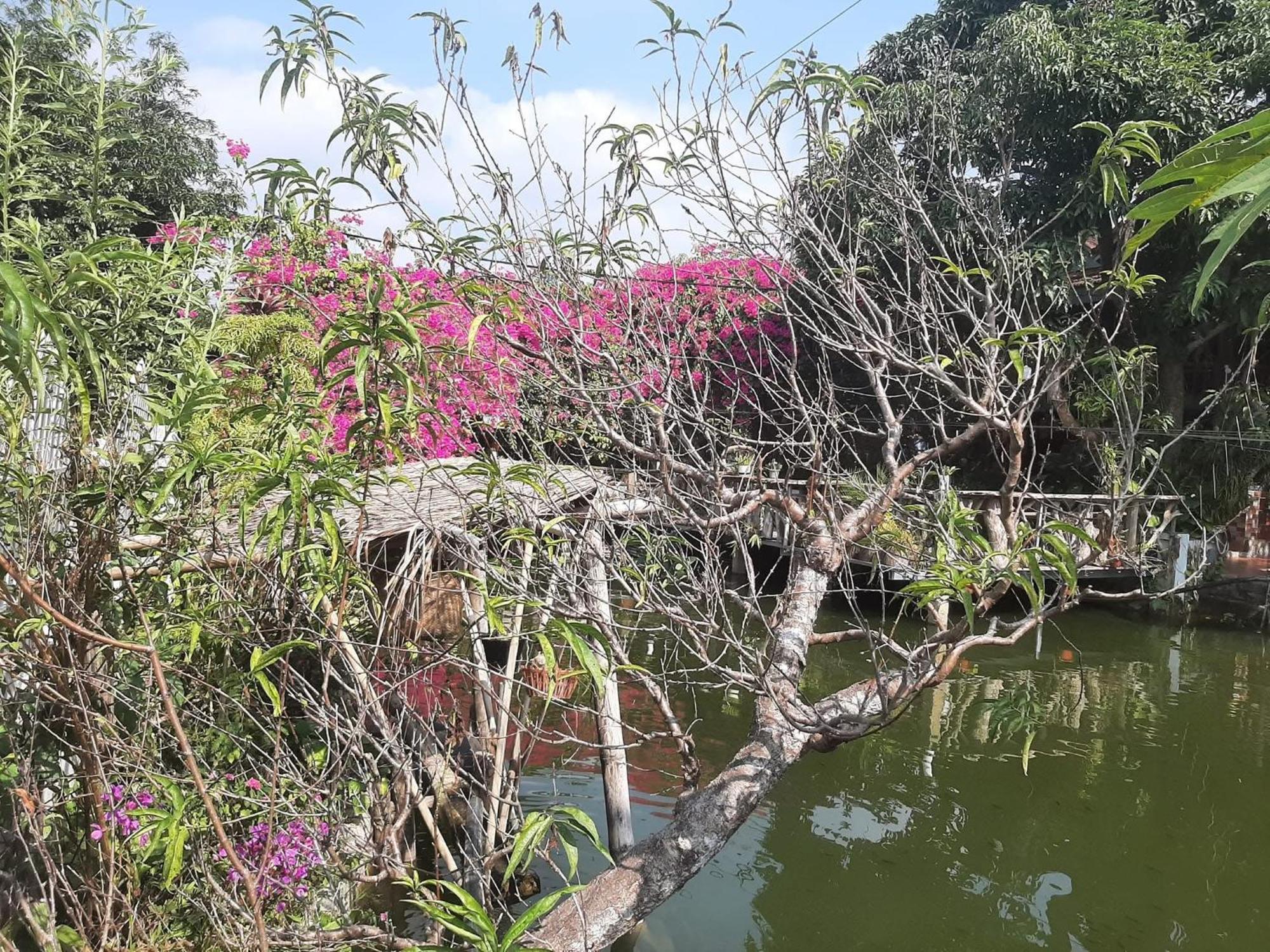 Minh Ngoc Homestay Dien Bien Phu Ban Hin Lom Eksteriør billede