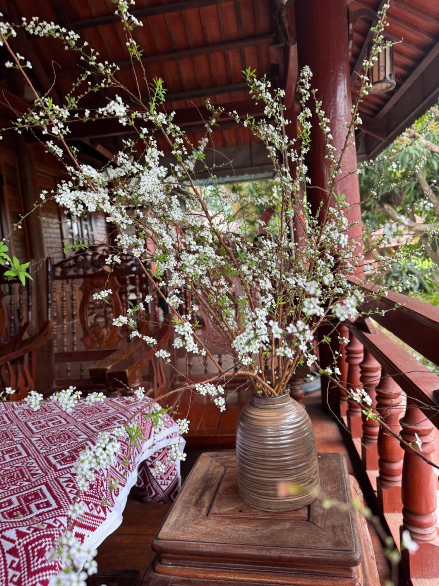 Minh Ngoc Homestay Dien Bien Phu Ban Hin Lom Eksteriør billede