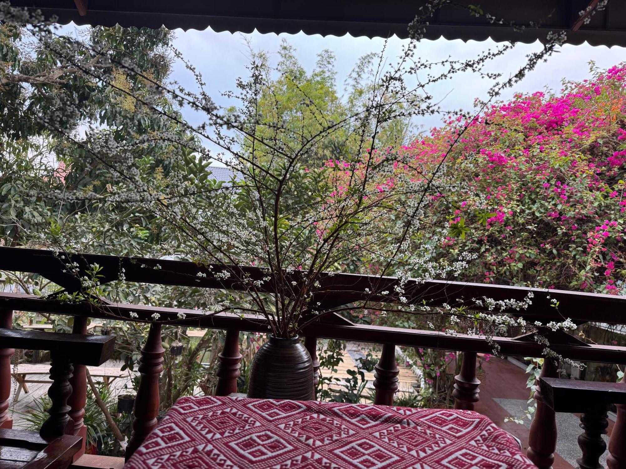 Minh Ngoc Homestay Dien Bien Phu Ban Hin Lom Eksteriør billede